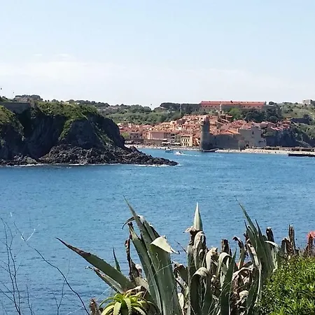 Apartamento Face A La Mer Collioure